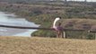 La Meseta de Artigas, un refugio natural de paz a orillas del río Uruguay