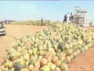 JT LABARI 09 JANVIER 2019