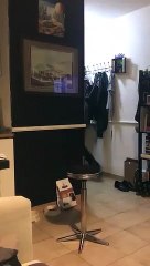 Voici un tour de magie totalement impromptu et hilarant !