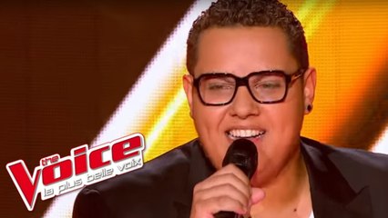 Johnny Hallyday – Requiem pour un fou | Guillaume Etteve | The Voice France 2013 | Blind Audition