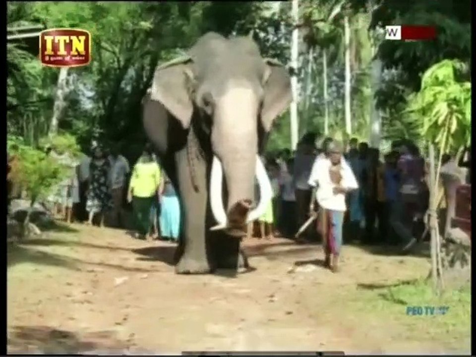 Atapattama 17-04-2019