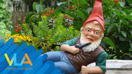 ¿Te gustan las criaturas fantásticas y mitológicas? | Venga La Alegría