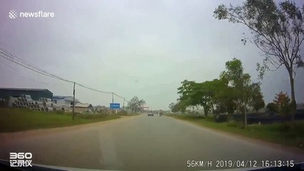 Asleep at the wheel! Funny scene as motorcyclist dozes off and falls into rice paddy ditch