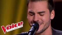 Alicia Keys – If I Ain't Got You | Michaël Lelong | The Voice France 2013 | Blind Audition