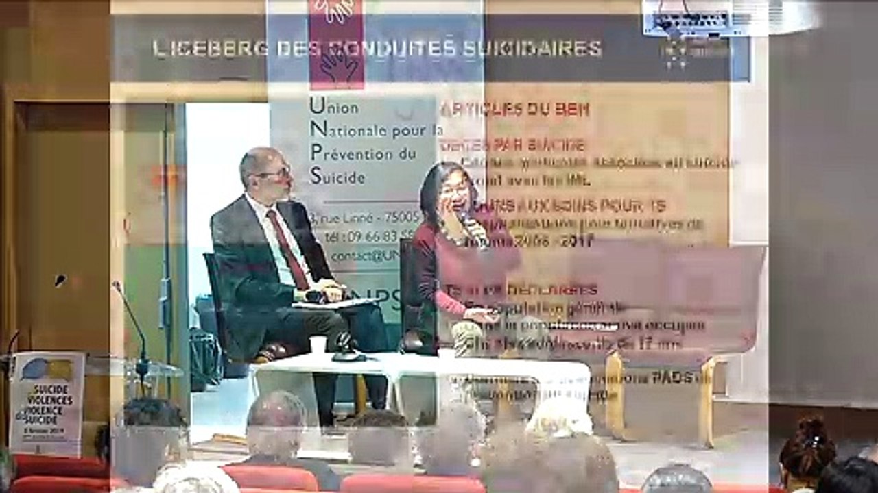 Etat des lieux en données de santé: mortalité et morbidité en suicidologie - Christine CHAN-CHEE - JNPS 2019