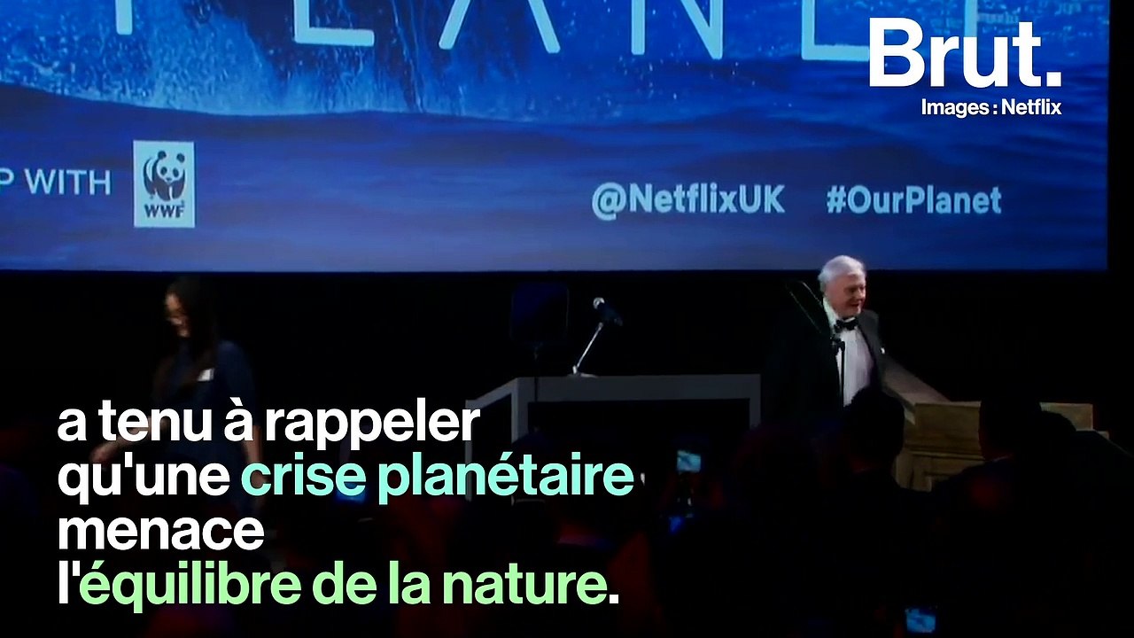 David Attenborough : "Nous dictons la survie de la nature"