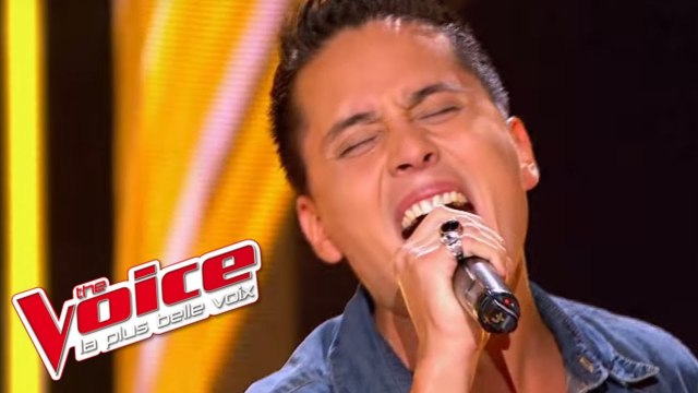Ray Charles – Hallelujah I Love Her So | Jo Soul | The Voice France 2013 | Blind Audition