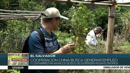 El Salvador: llega de China misión técnica de expertos en agricultura