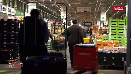 Le Magazine de l´Emploi, c´est le nouveau rendez-vous pratique, utile et motivant dédié à l´emploi - Le magazine de l'emploi (17/04/2019)