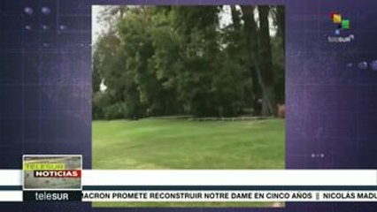 teleSUR Noticias: Llega cargamento de asistencia técnica a Venezuela