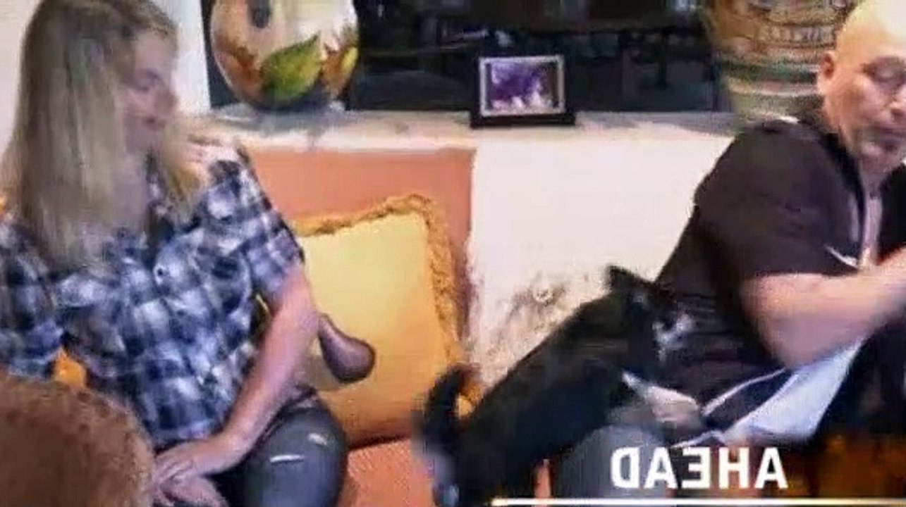 Dog Whisperer S07E01 Howie Mandel's Lola and Bebe & Sadie (Howie Mandel's Big Deal)