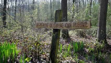 Printemps Grandeur nature en Brabant wallon