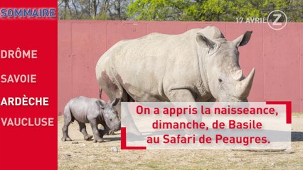 Zapping de l'Info du 17 Avril 2019