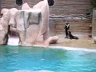 Zoo d Amneville le 14 Juillet 2007 M F 001