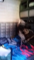 Turkey Release with Unexpected Upsetting Ending