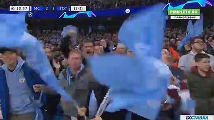 Silva B. Goal HD - Manchester City	2-2	Tottenham 17.04.2019