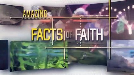 Amazing Facts of Faith — The Coconut