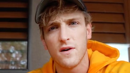 Logan Paul Runs Into David Dobrik After Slamming Influencers At Coachella