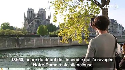 18H50 : les cloches résonnent à l'unisson pour Notre-Dame de Par