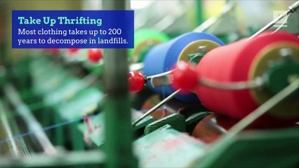 4 Green Resolutions to Begin on Earth Day