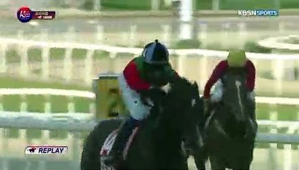 서울경마 , 부산경마, ζ [RACC 33. CΦM] Ш 온라인경정