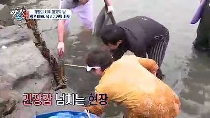 천안오피 *조선의밤* ^cBgo1점COM^ 천안스파사이트 천안안마