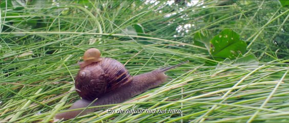 THE BIGGEST LITTLE FARM Film