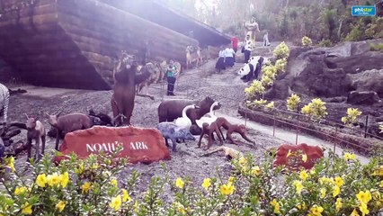 What to see on a pilgrimage tour from Iloilo to Antique and Boracay