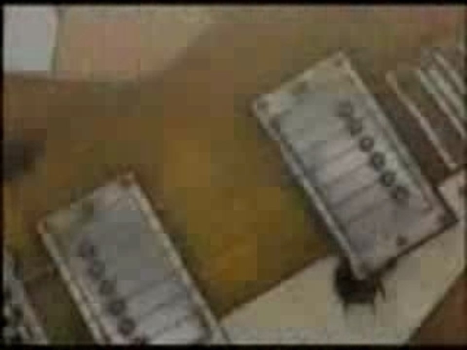 Beck amv super classe