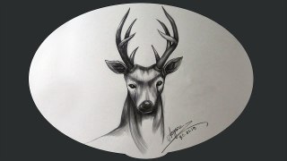 How to draw Deer step by step easy _ How to Draw Deer in Oil pastel color