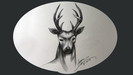 How to draw Deer step by step easy _ How to Draw Deer in Oil pastel color