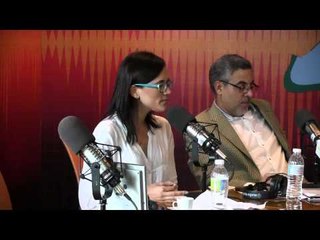 Elizabeth Mateo comenta denuncia comunidad de la jabilla  y deuda social en general de RD