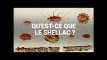 Qu'est-ce que le shellac, additif issu d'insectes retrouvé dans des aliments