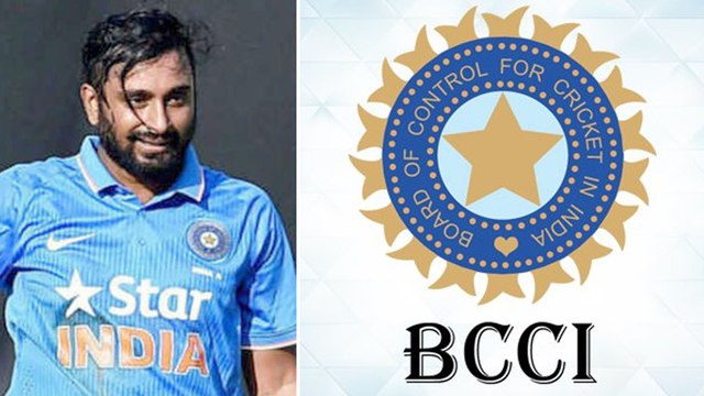 ICC Cricket World Cup 2019 : No Action On Ambati Rayudu For Sarcastic Tweet : BCCI Official