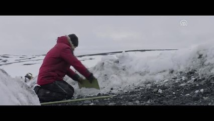 Sinema - Arctic