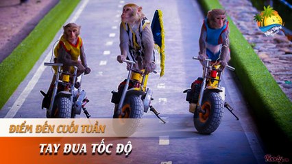 [ĐIỂM ĐẾN CUỐI TUẦN] -  Phấn khích cảm giác mạnh đua xe tốc độ - xe thể thao Prokat | NHA TRANG TRAVEL