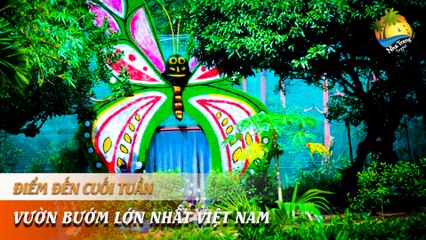 [ĐIỂM ĐẾN CUỐI TUẦN] - "Khó cưỡng" vườn bướm lạ hút hàng vạn khách tham quan | NHA TRANG TRAVEL