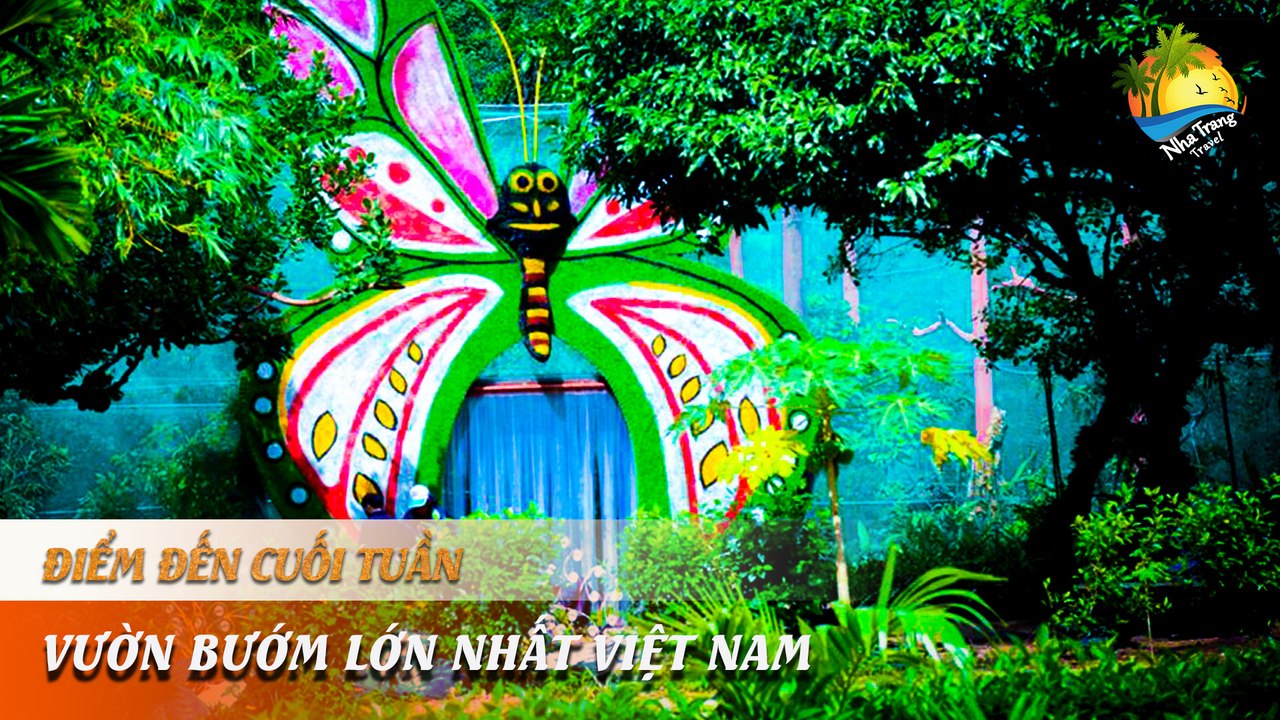 [ĐIỂM ĐẾN CUỐI TUẦN] - "Khó cưỡng" vườn bướm lạ hút hàng vạn khách tham quan | NHA TRANG TRAVEL