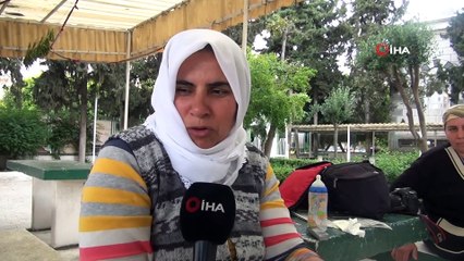 Annesi ölen keçiyi, bebekleri gibi besliyorlar