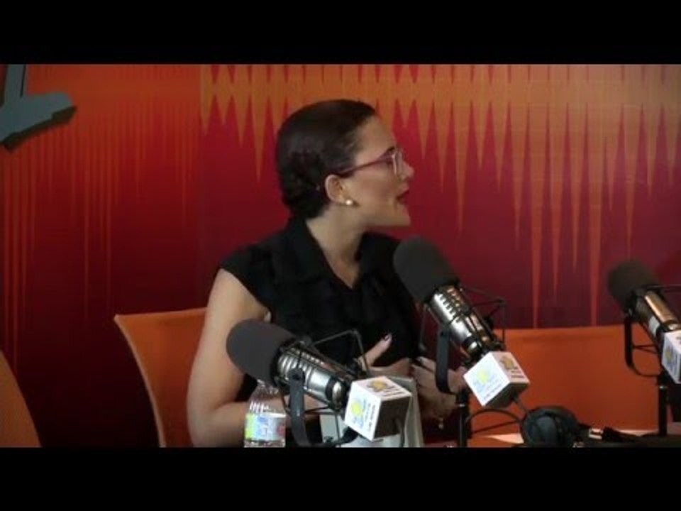 Elizabeth Mateo Que pasa en RD? que hemos reducido a la democracia a una dictadura de las minorias