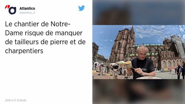 Le gouvernement veut former des tailleurs de pierre pour rebâtir Notre-Dame de Paris