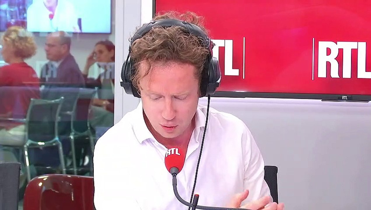 Des cerveaux de porcs continuent de fonctionner après leur mort