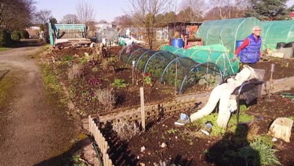 Perry Barr's Allotments Saved!