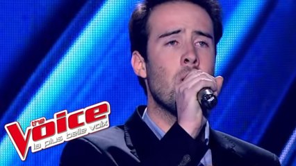 Daniel Balavoine – SOS d'un terrien en détresse | Quentin | The Voice France 2013 | Blind Audition