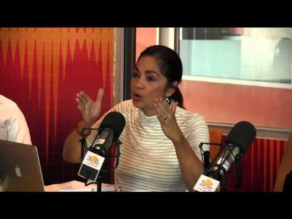 Maria Elena Nuñez comenta actividad de la Junta Central Electoral con periodistas