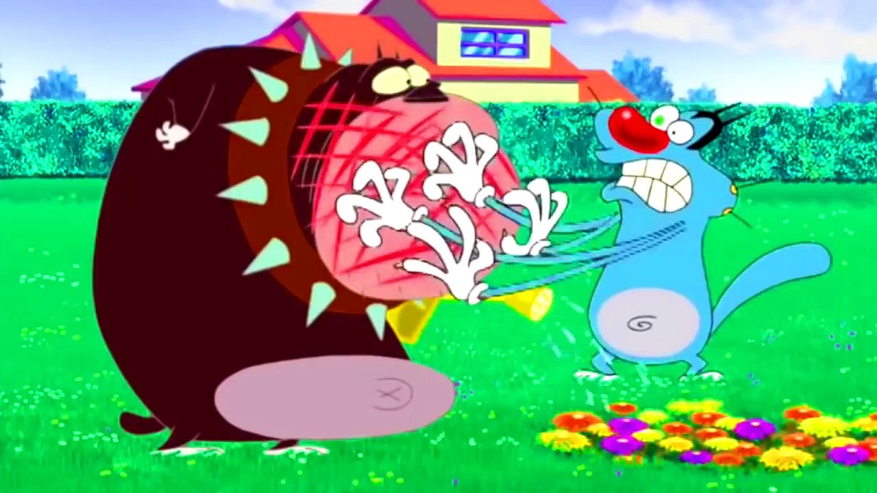 Oggy and the Cockroaches Special Compilation # 251 cartoon for kids  HD