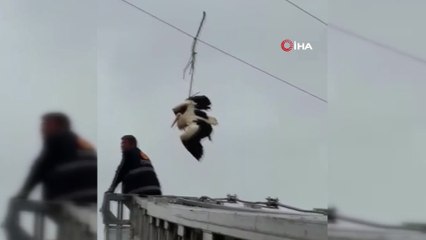Yozgat’ta leylek kurtarma operasyonu