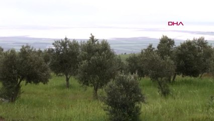 Hatay'da Yağış, Sel ve Su Baskınlarına Yol Açtı