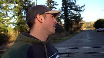 US firefighter rescues husky from train tracks and brings it home