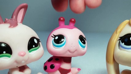 Littlest Pet Shop Toys Playing | Toys Play Kids Video